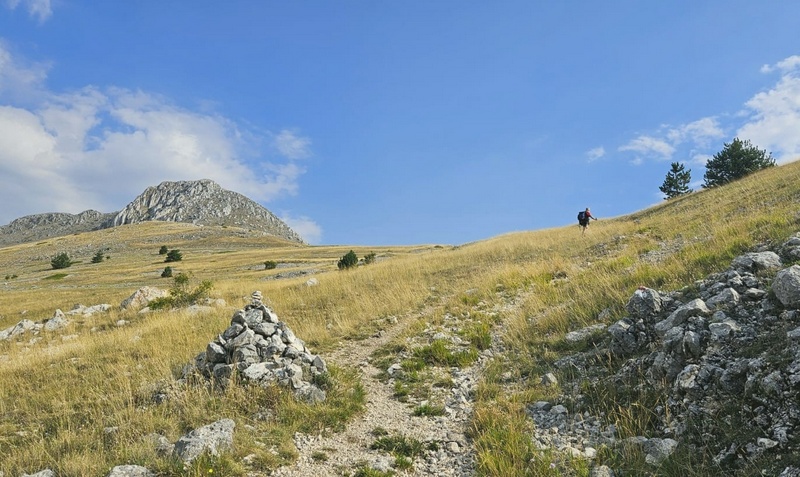 Le belle Epipactis sulle praterie di Campo Imperatore (AQ)  luglio 2025.